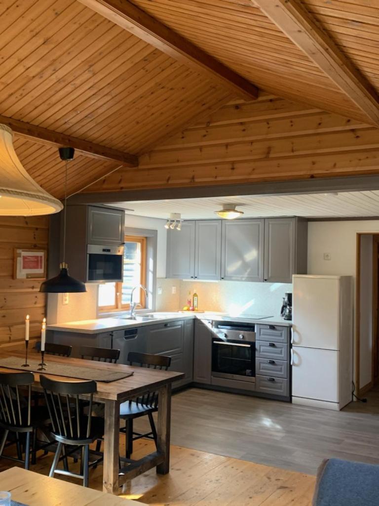 Bjoernbyn Apartment Salen  Bagian luar foto